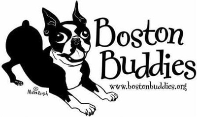 Boston Buddies Inc.
