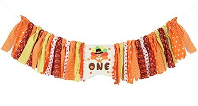 Banner, Thanksgiving 1st Birthday Decorations,...