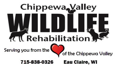 Chippewa Valley Wildlife Rehabilitation