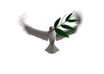 eagle77733