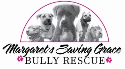 Margaret's Saving Grace Bully Rescue