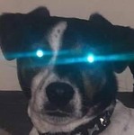 clrsjr