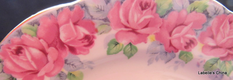 Royal Standard Rose of Sharon 6.75