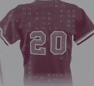 2021 Leaf Lumber - Frank Robinson #NF-14