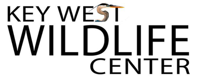 Key West Wildlife Center, Inc.