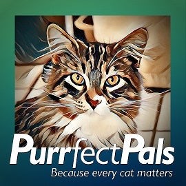 Purrfect Pals