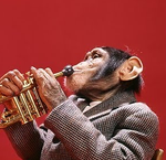 jazz_monkey