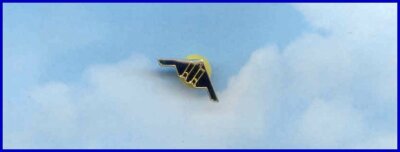 B-2 Stealth Bomber Pin Vintage Airplane Plane Aviation Aviator Aviatrix #3