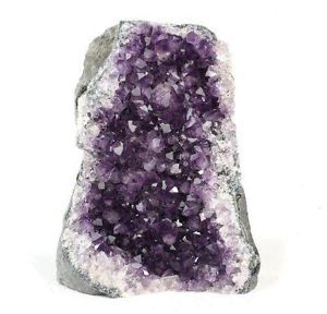 Stephanocrates dohertyi - male, Rare, Super small specimen