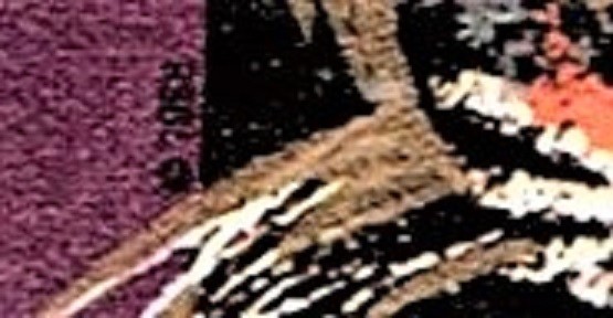 “1998 Year of the TIGER” - Pack w/ 1998 Canada, China & Hong Kong Postage Stamps