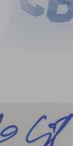 2016 Leaf Trinity Devon Cajuste #CA-DC1