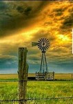 midwest.redo 的用户个人档案