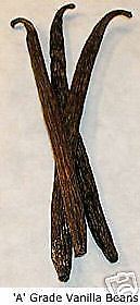 Vanilla Essential Oils & Fragrances