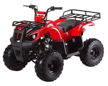 ::New bigger 2017  Utility ATV 125cc with Reverse