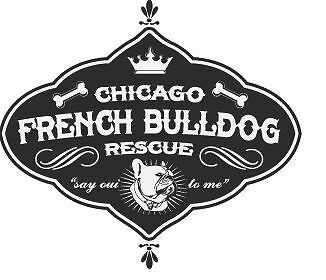 Chicago French Bulldog Rescue, Inc.