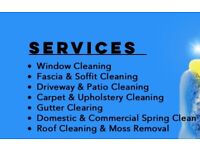 WINDOW CLEANING, GUTTERS CLEANING, PRESSURE WASHING SERVICES