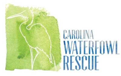 Carolina Waterfowl Rescue