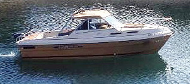 20 foot Bayliner with 130 HP Volvo I/O and EZ Loader trailer