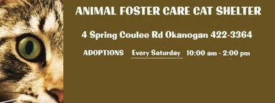 Okanogan County Animal Foster Care Association