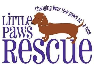 Little Paws Dachshund Rescue