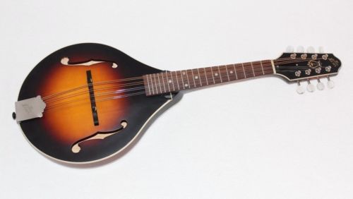 希少】 Mavis IFM-70 F型 フラットマンドリン Rare Mavis Ifm-70 Fflat