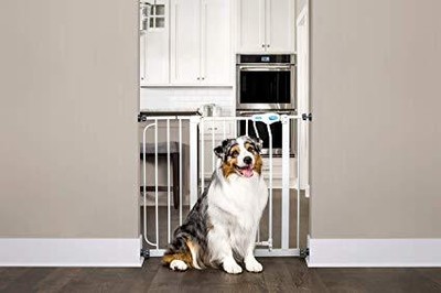 Carlson Extra Wide Walk Through Gate with Pet Door, 29 to 44-Inch
