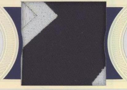 2022 Panini Flawless - Vidal Brujan #P-VB