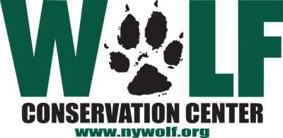 Wolf Conservation Center