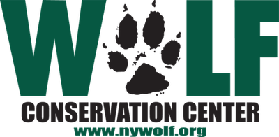 Wolf Conservation Center