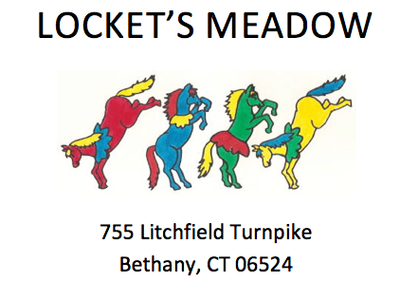 Locket's Meadow AKA Rescues who Rescue
