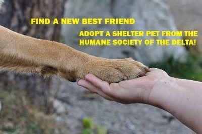 Humane Society of the Delta
