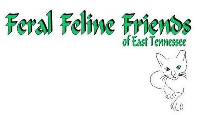 Feral Feline Friends of East Tennessee