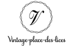 vintage-place-des-lices