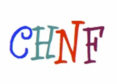 Children's Help Net Foundation, Inc.