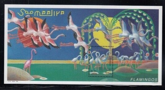 SOMALIA Flamingos MNH souvenir sheet