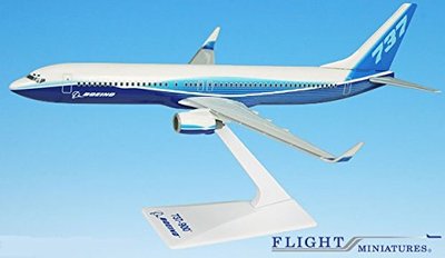 Flight Miniatures Boeing Demo (04-Cur) 737-900w 1:200 Scale Model Airplane 