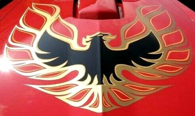 1973-78 TRANS AM COMPLETE DECAL KIT - GOLD w 1 PC HOOD BIRD