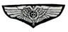 US ARMY AF Surgeon Wing 1.png