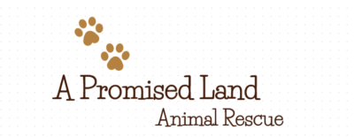 A PROMISED LAND ANIMAL RESCUE, INC