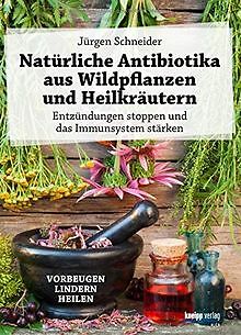 Natürliche Antibiotika aus Wildpflanzen und Heilkrä... | Buch | Zustand sehr gut