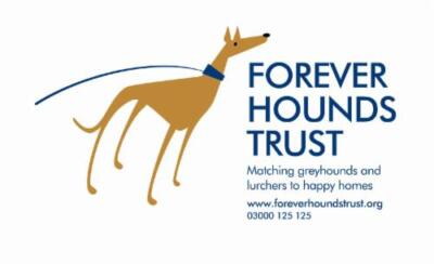 Forever Hounds Trust