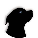 *black_dog*