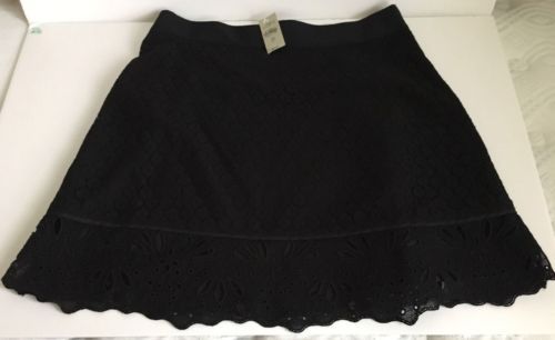 Ann Taylor Petites Lace Clothing for Women