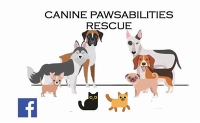 Canine Pawsabilities