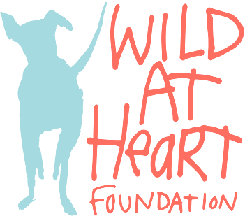 Wild at Heart Foundation