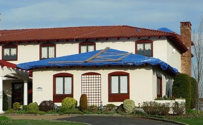 Kotap 20-ft x 30-ft General Purpose Blue Poly Tarp Item TRA-2030 Other Shade