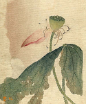 lotuseater10