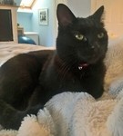 debbieh7109