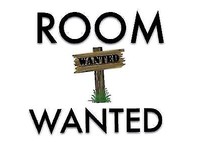 Looking For Room Flats Houses Rooms Wanted For Rent Gumtree