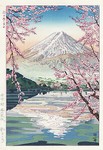 fallenprunusblossomsoncrackedice